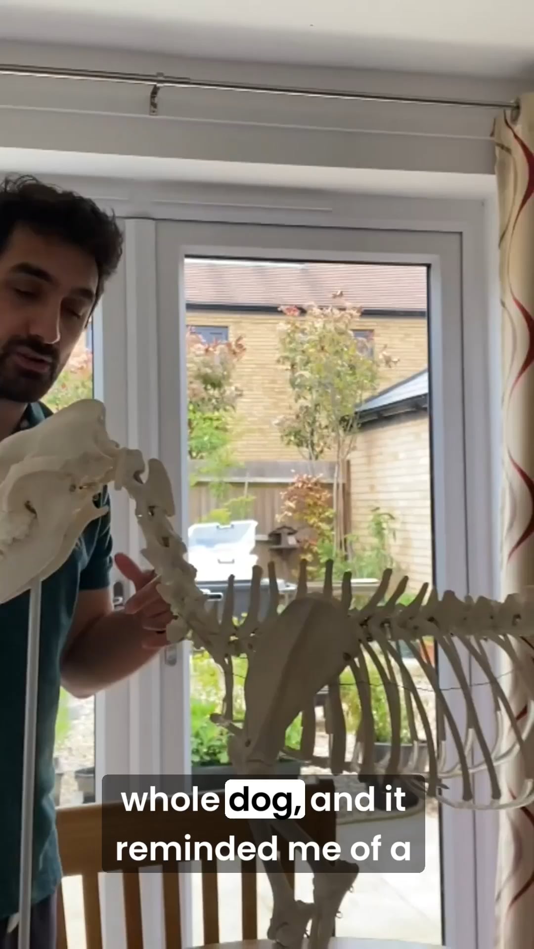 Which species don't have seven cervical vertebrae?