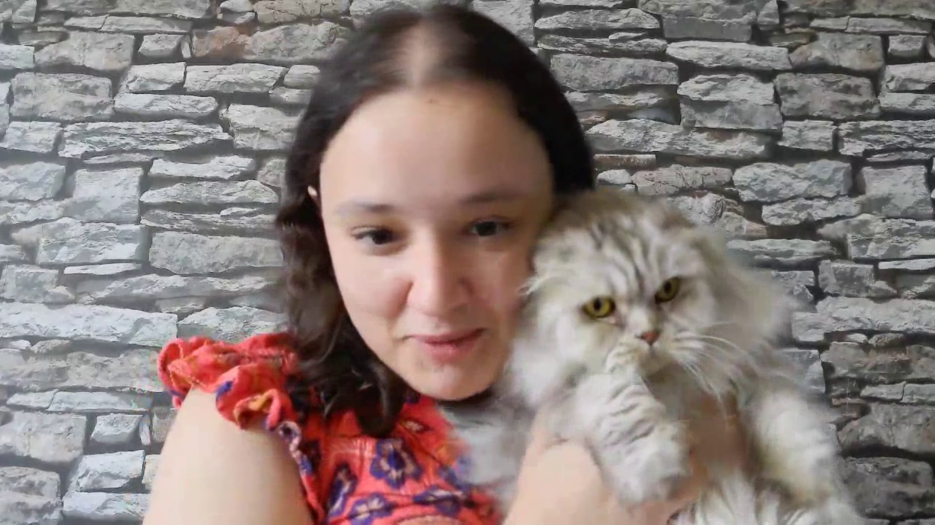 Can I sue somebody for feeding my cat?