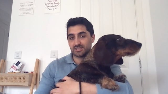 My Pet Dachshund