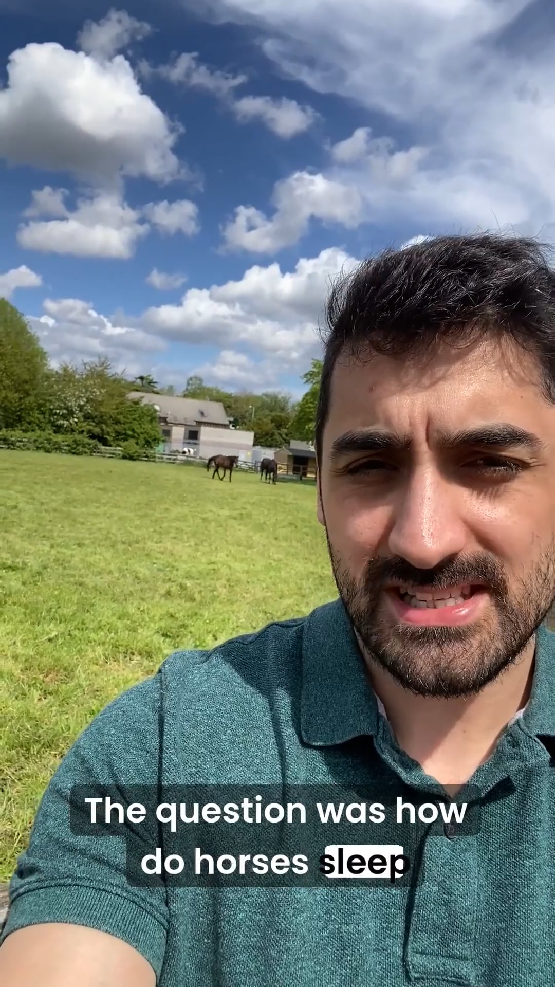 How do horses sleep standing up?