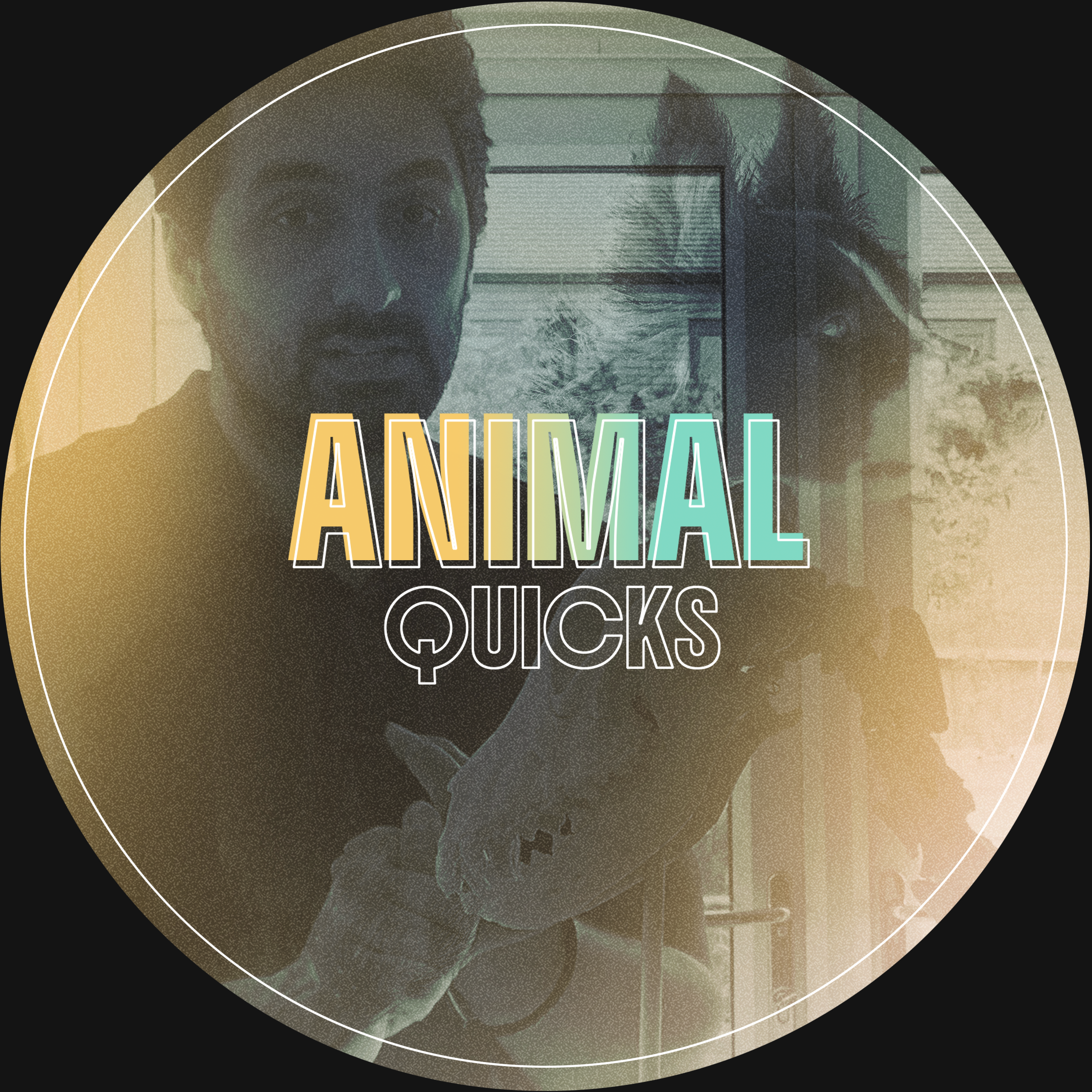 Animal Quicks