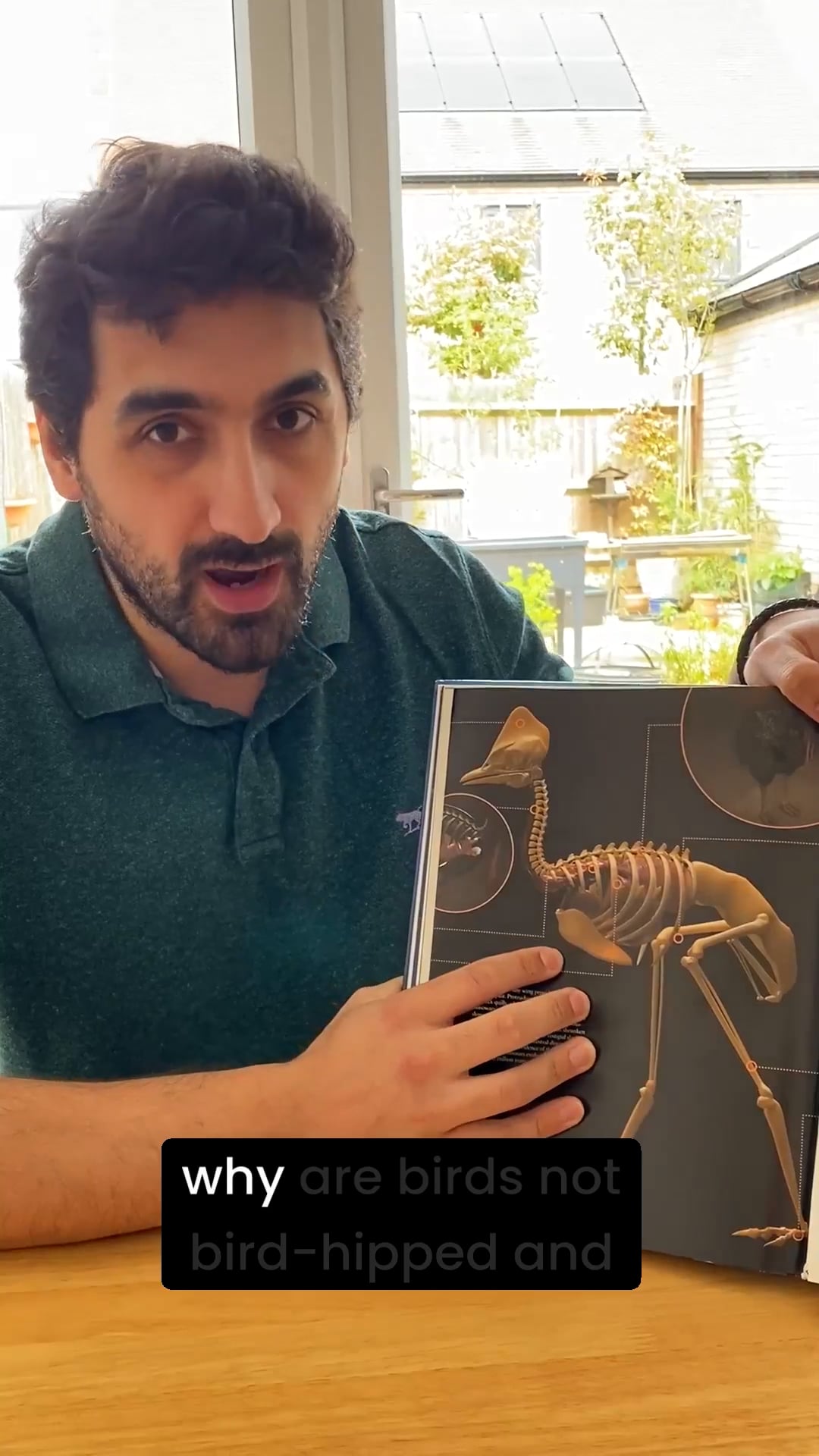 Why are birds lizard hipped?