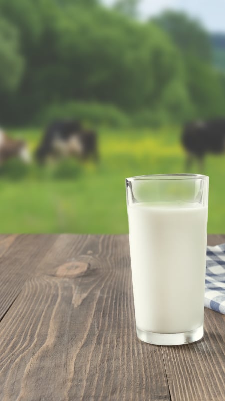 Is raw milk safe to drink?
