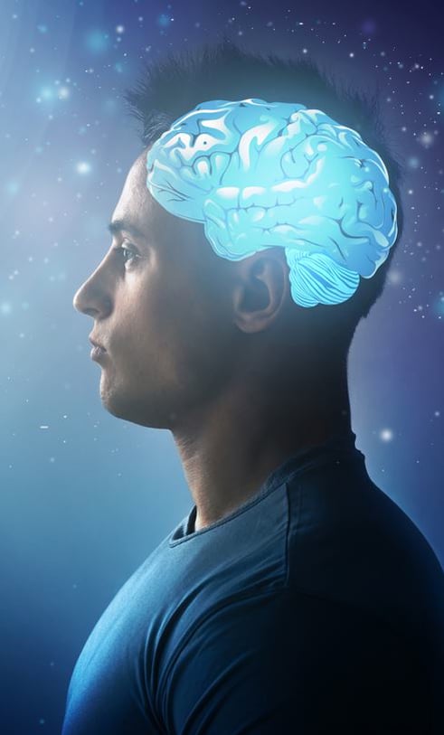 When is the brain most active?