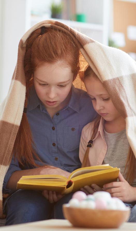 What are the developmental impacts of having much older siblings?