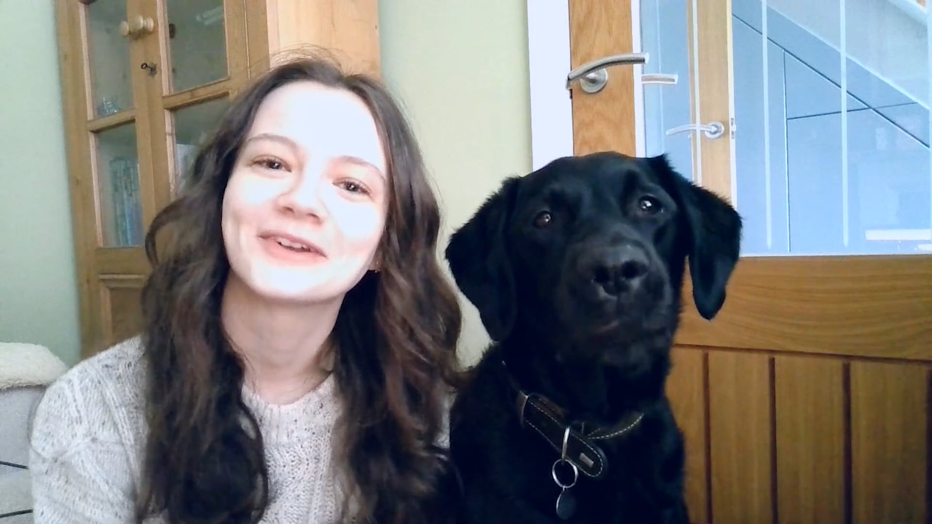 Preview: My Pet Labrador