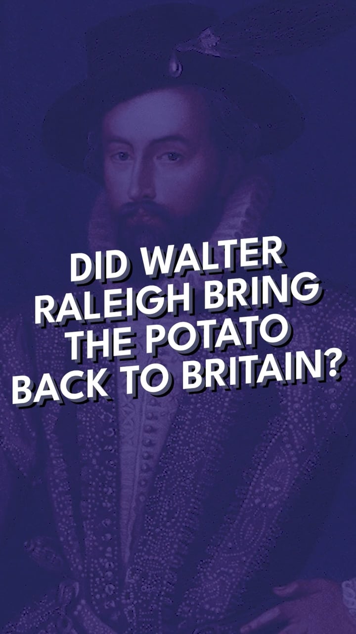 Did Walter Raleigh actually bring potatoes back to Britain?