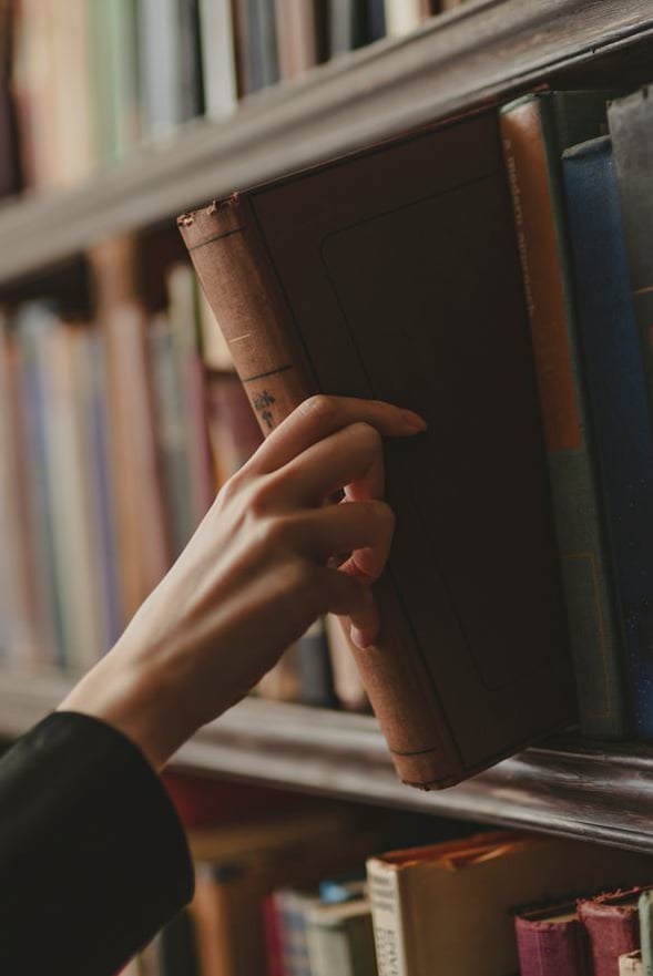 What is textual criticism?