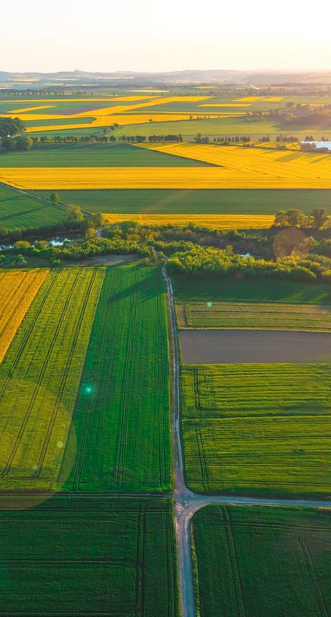 What are brownfield and greenfield sites?