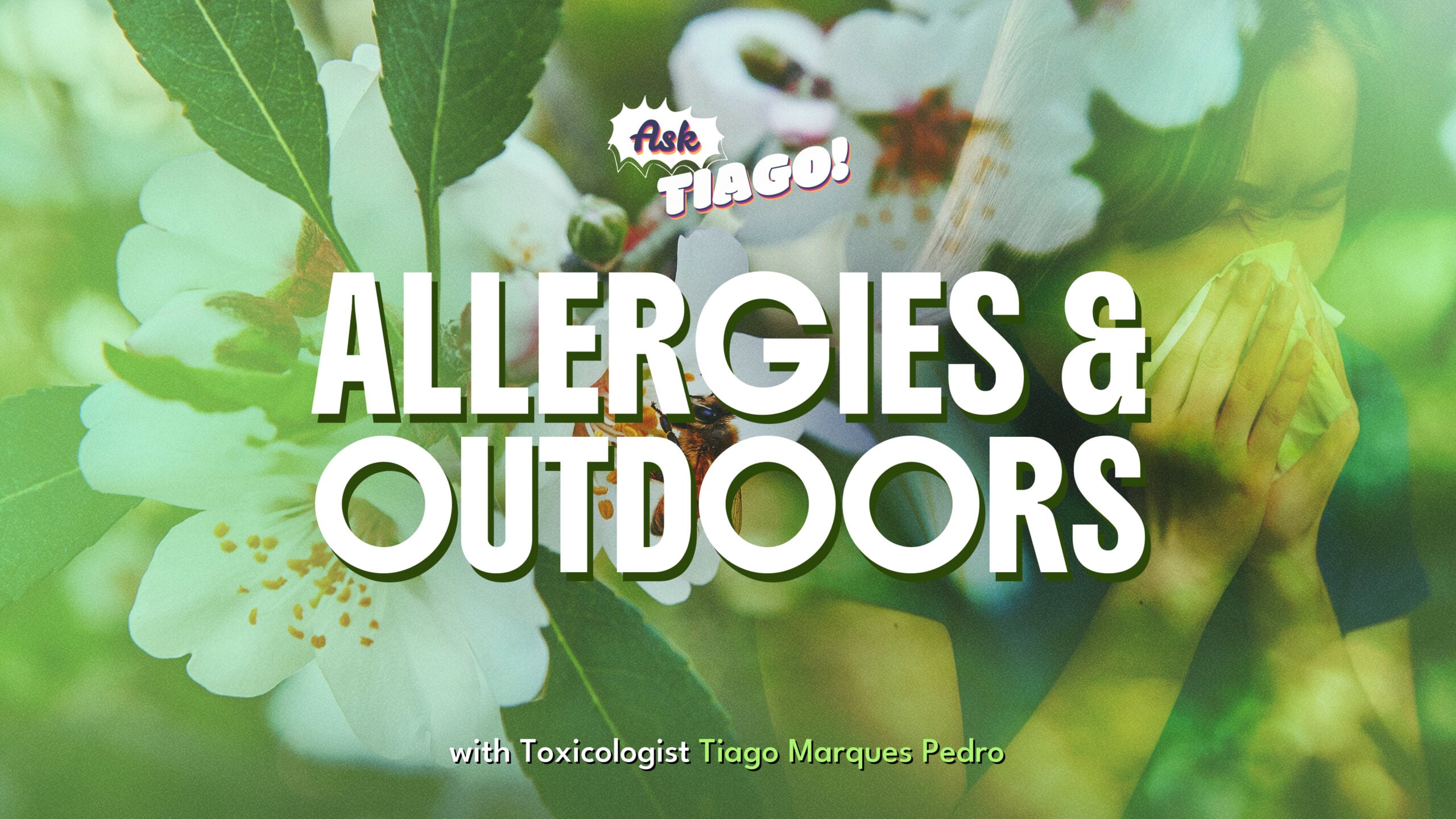 Preview: Allergies And Outdoors