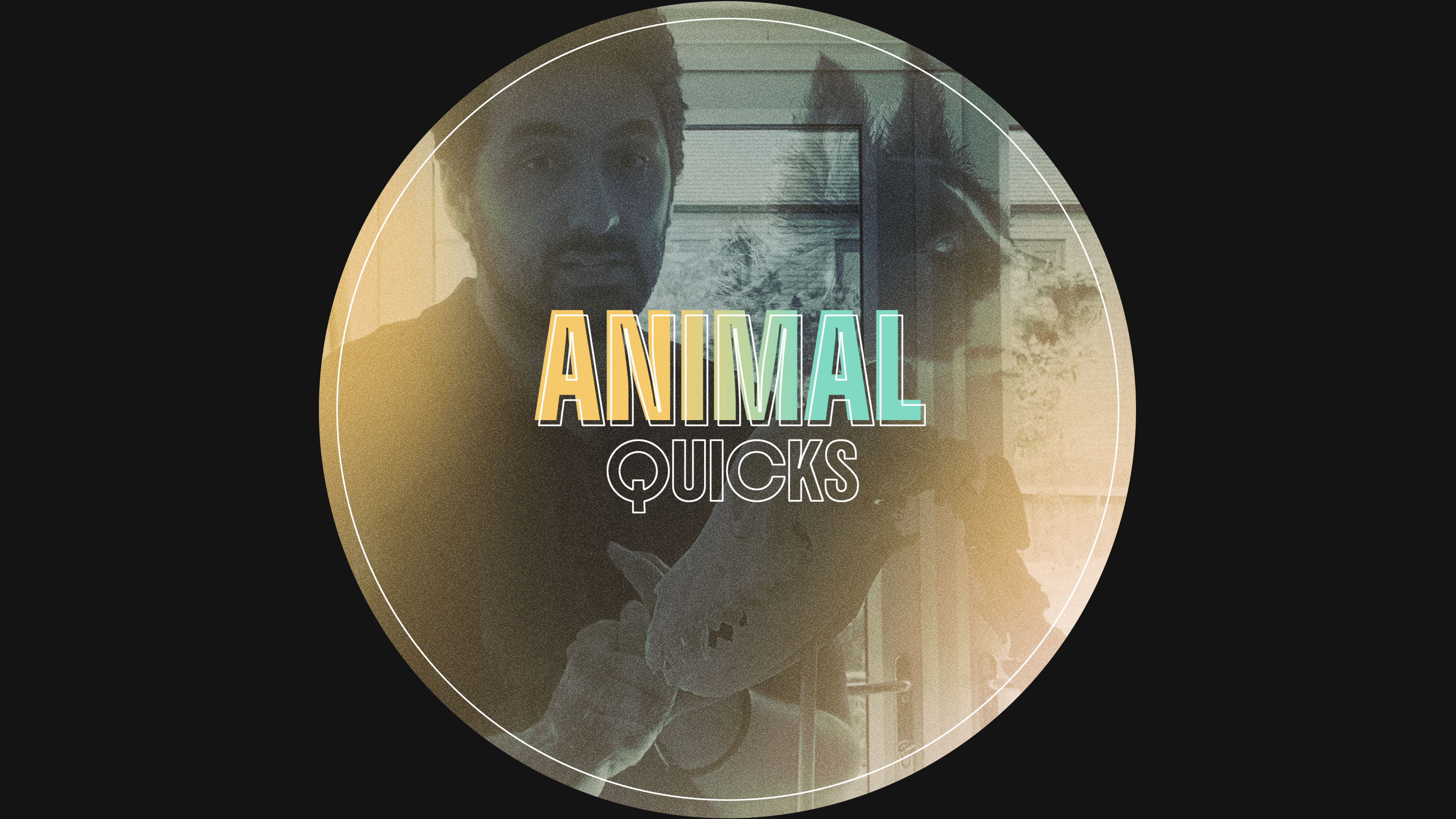 Animal Quicks