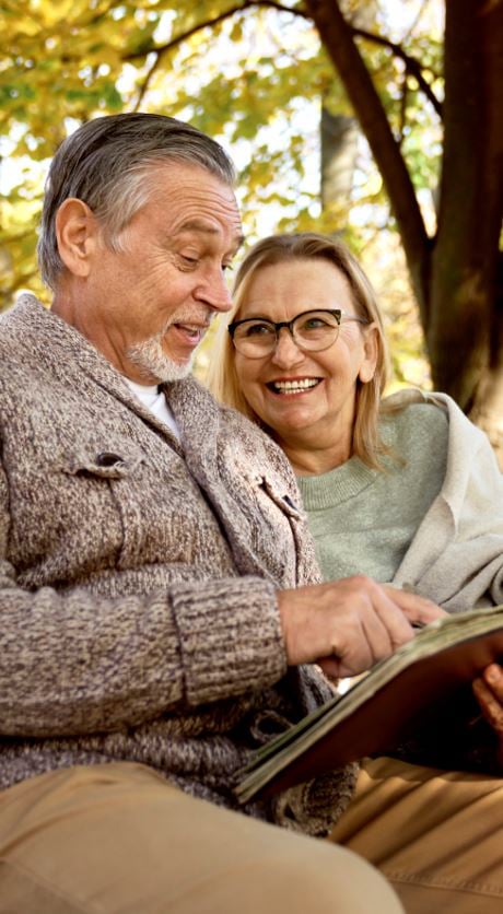 Why is there a fascination with family trees?