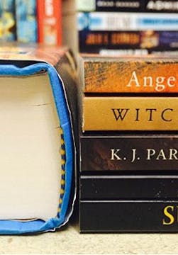 What is a novella?