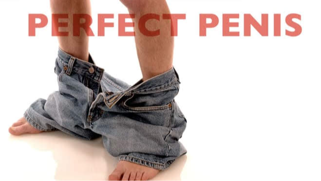 Perfect Penis