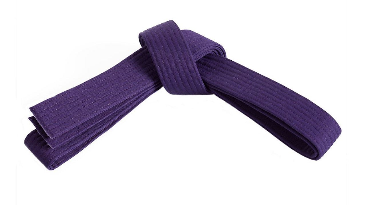 Purple Belt Curriculum