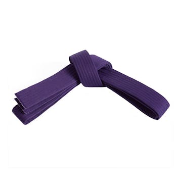 Purple Belt Curriculum