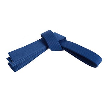 Blue Belt Curriculum