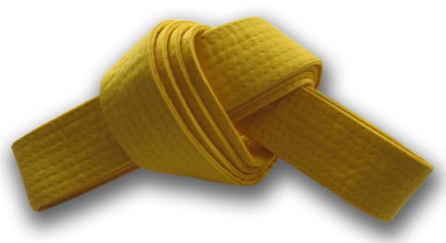 Yellow Belt Curriculum