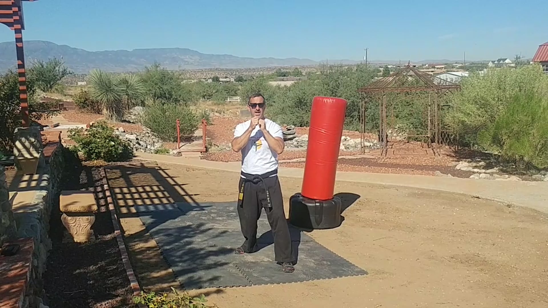 Arizona Academy of Martial Arts