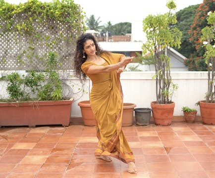 Kartharee adavu 2/3: Instructions