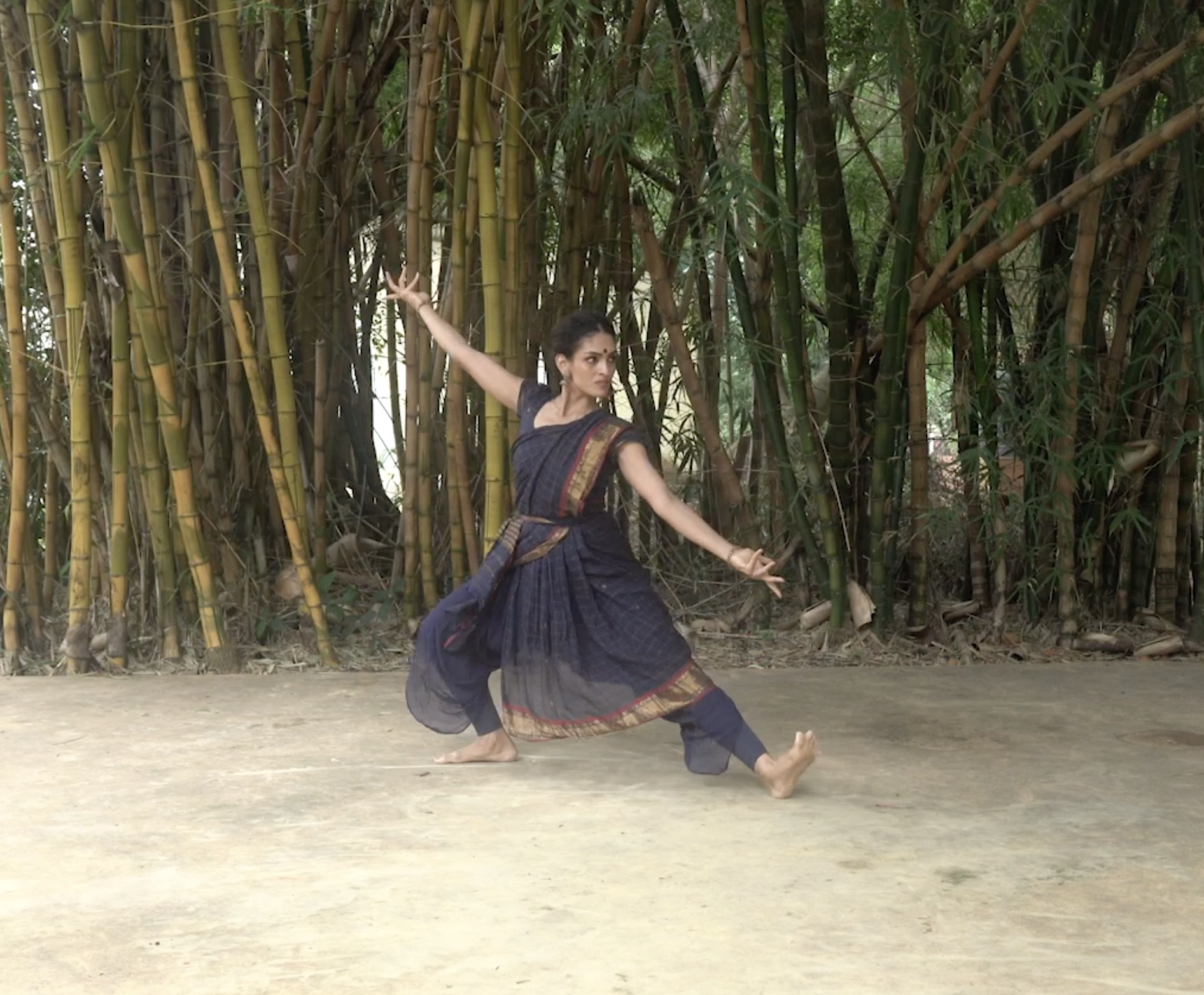 Serikal  Adavu Variation 2