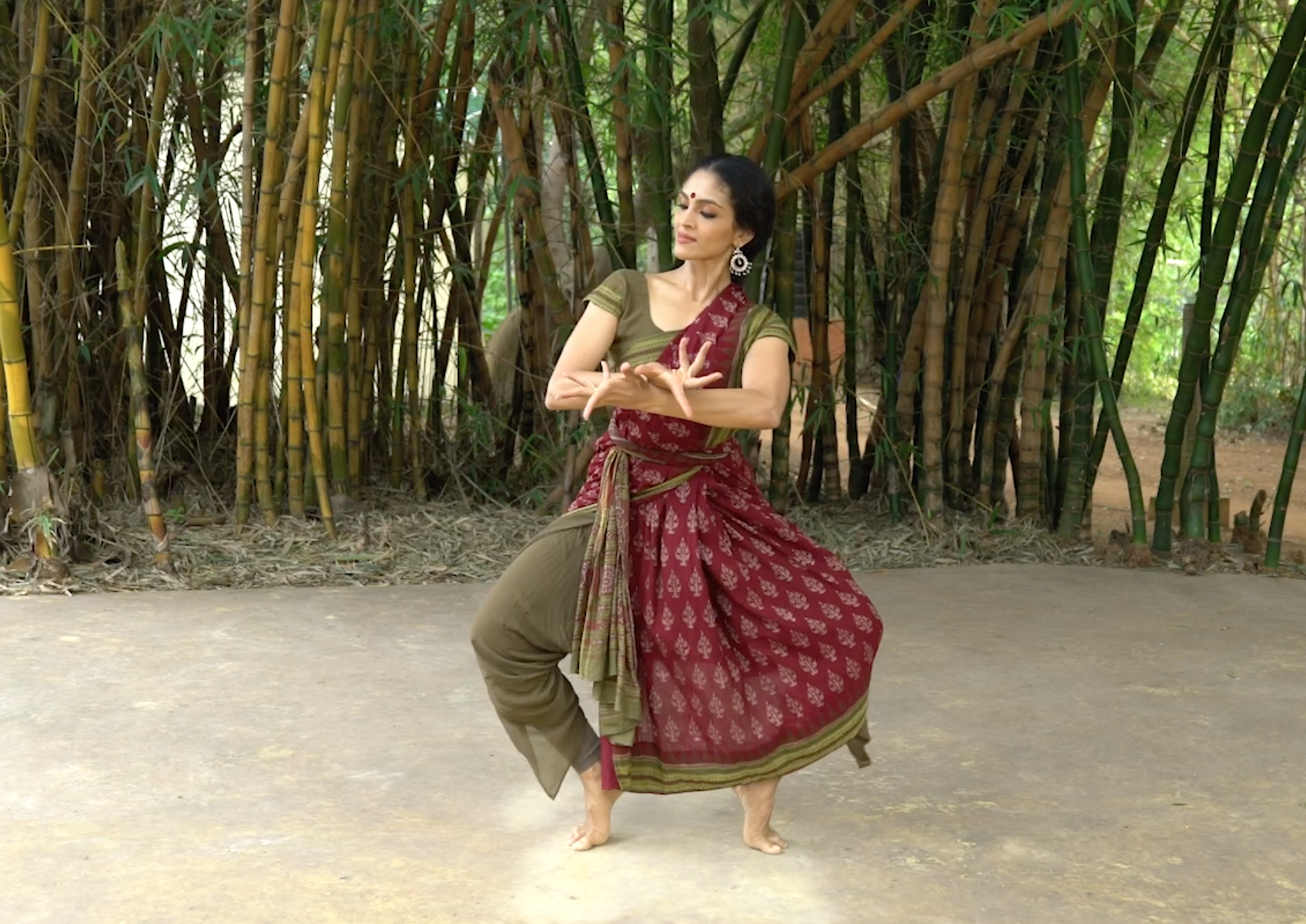 Adavus: Practice videos