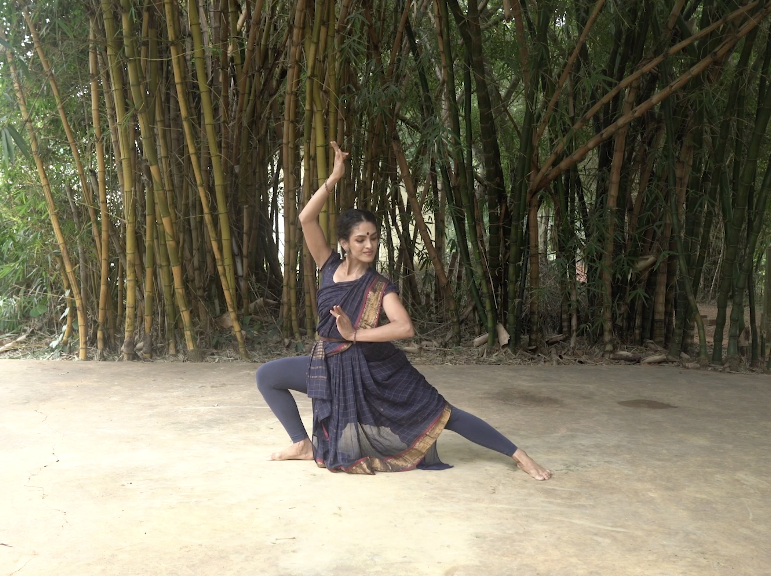 Serikal  Adavu Variations