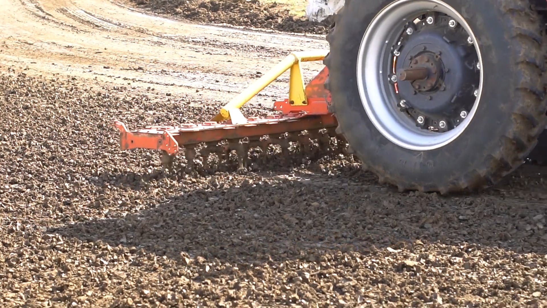 Kings of the Ring - Digital Short 2019