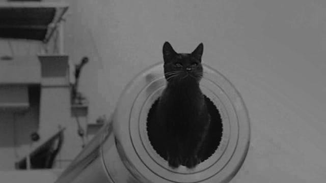 Ripley