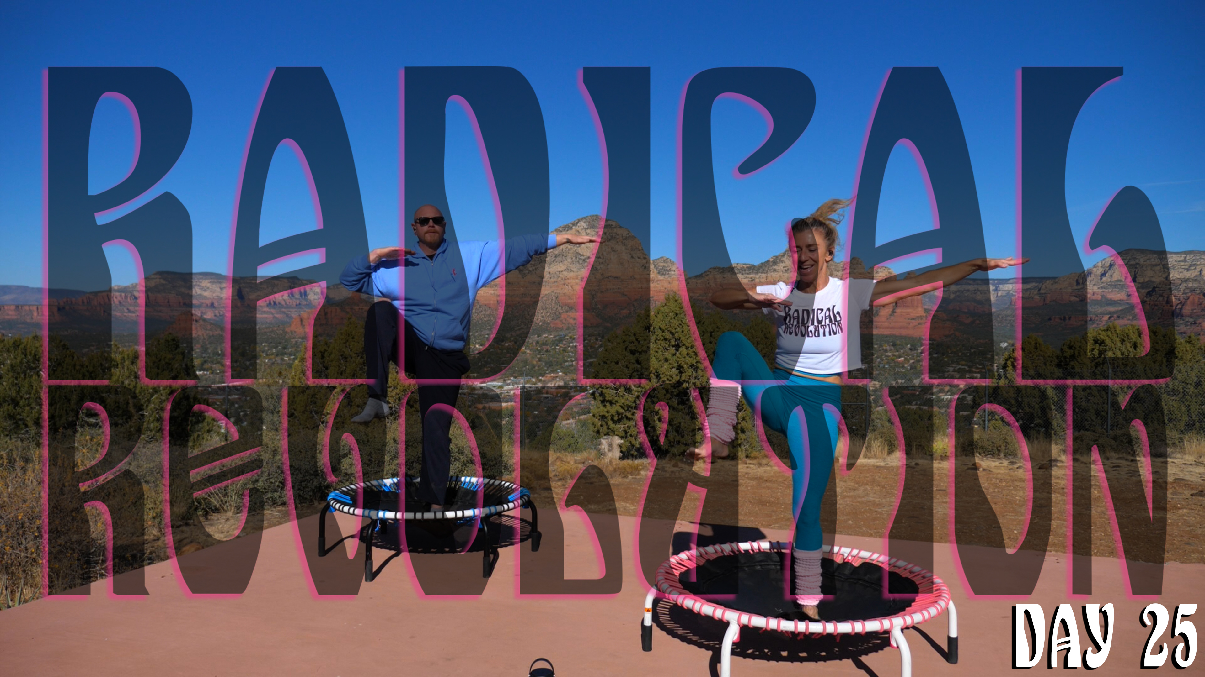 Day 25 - Radical Revolution