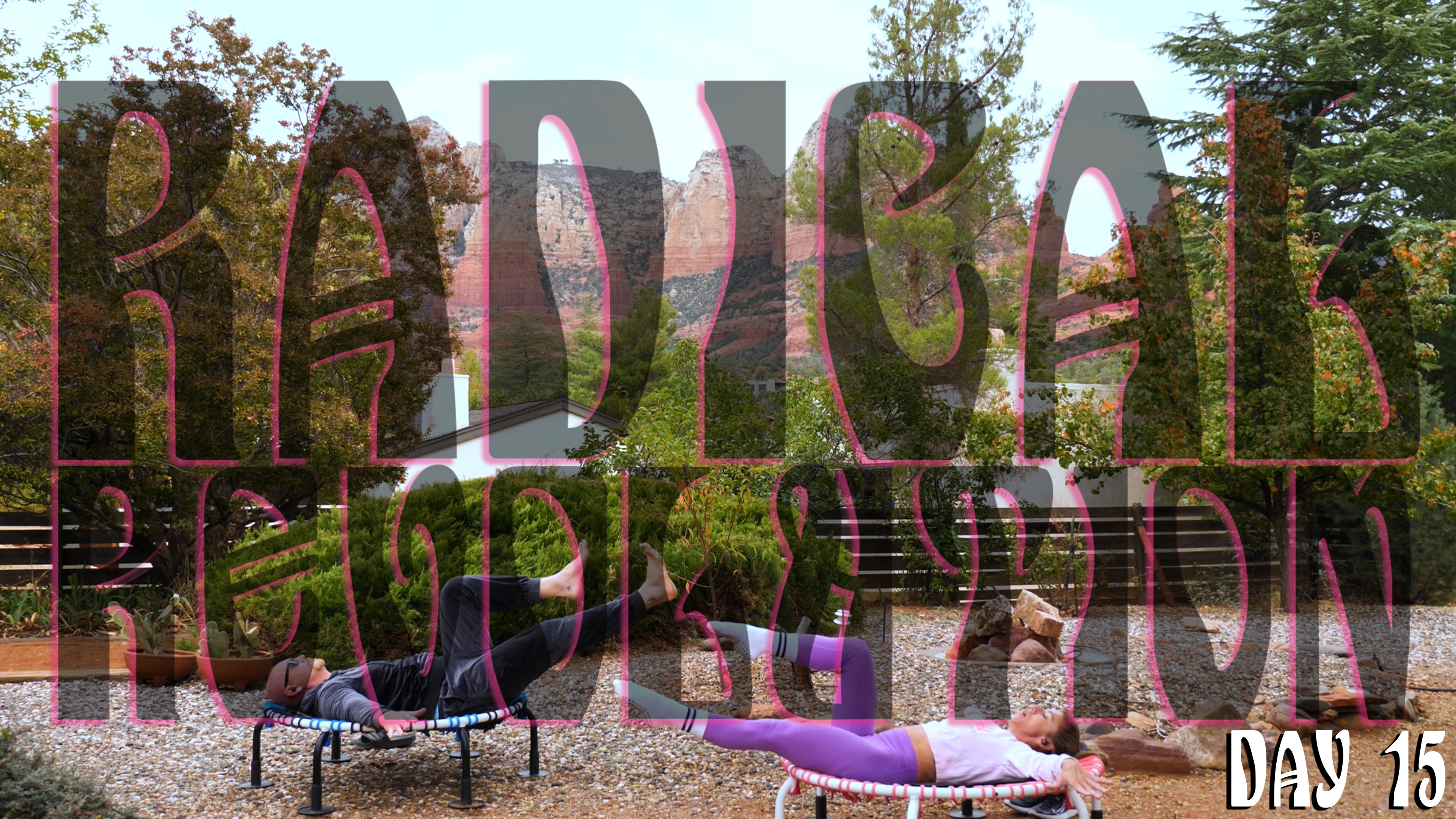 Day 15 - Radical Revolution