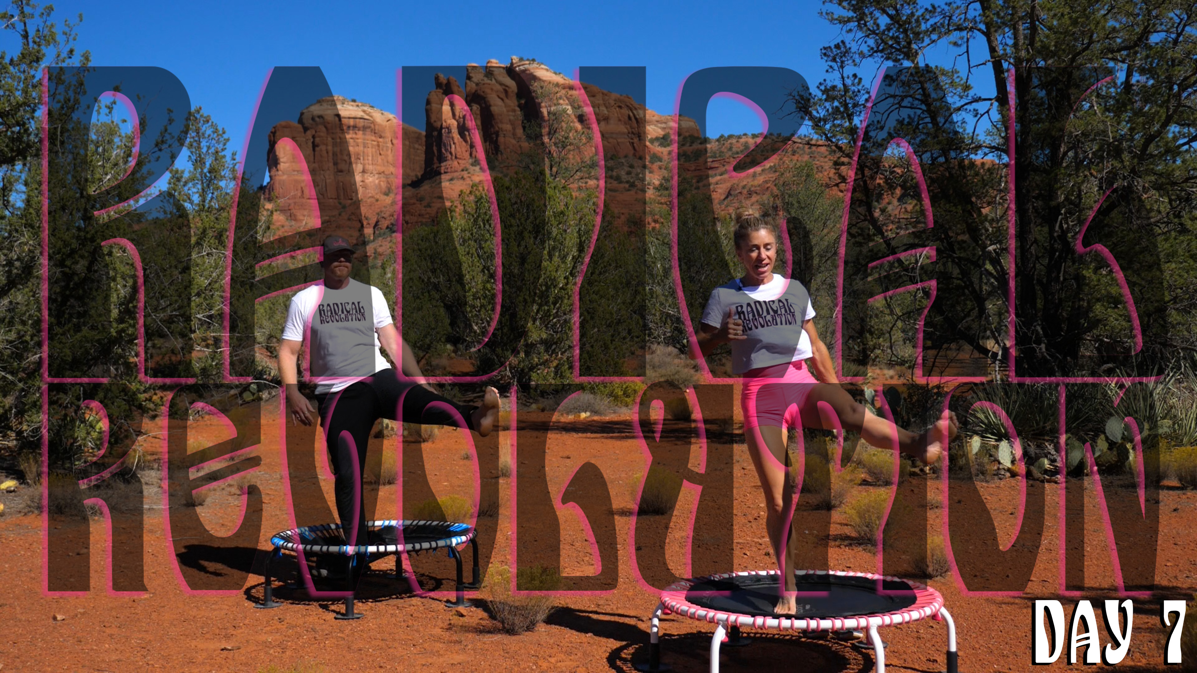 Day 7 - Radical Revolution