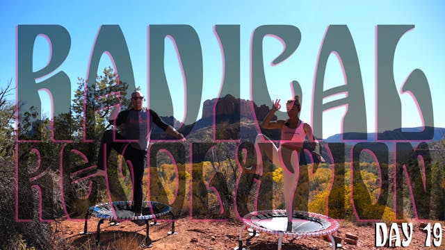 Day 19 - Radical Revolution