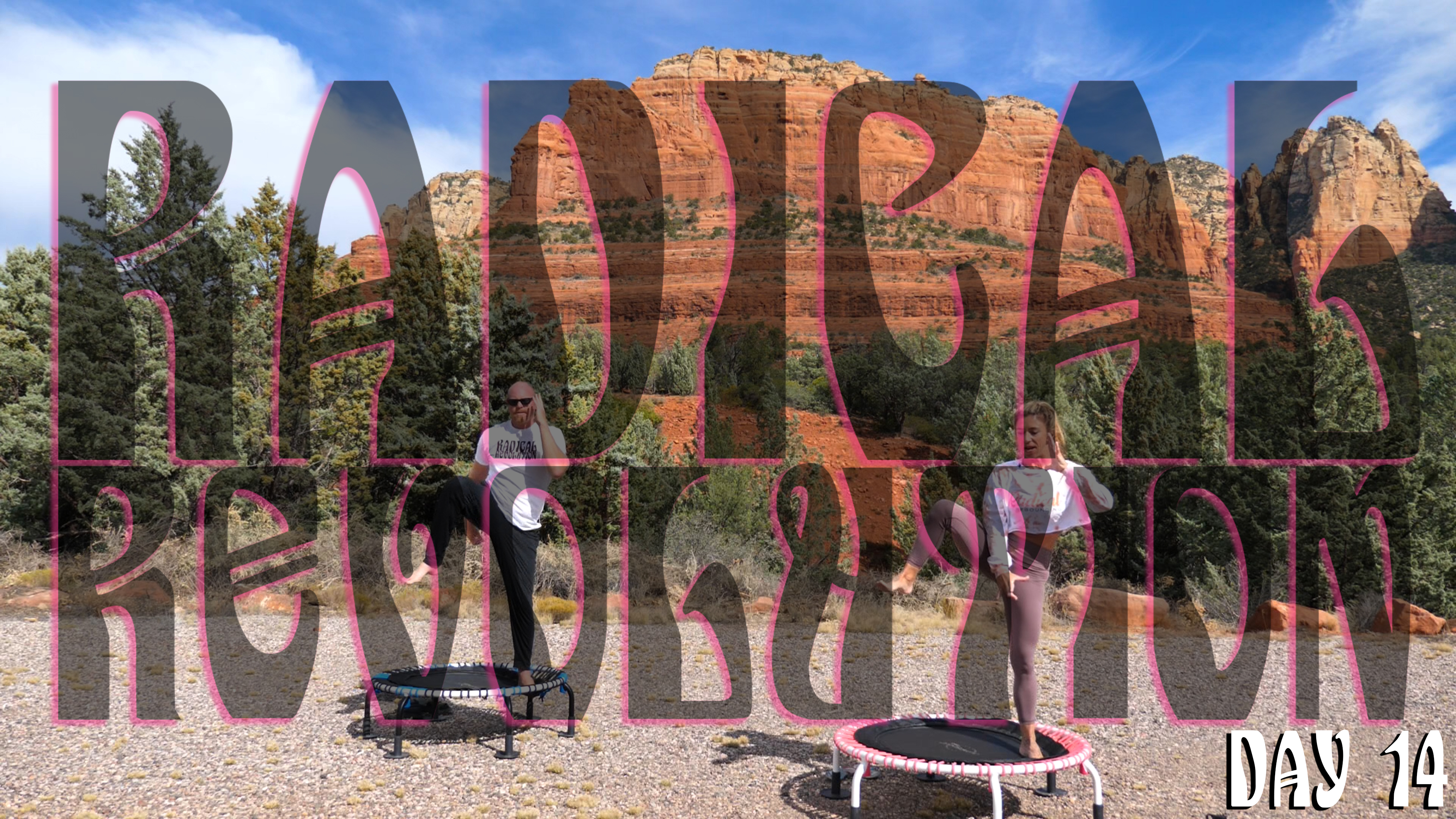 Day 14 - Radical Revolution