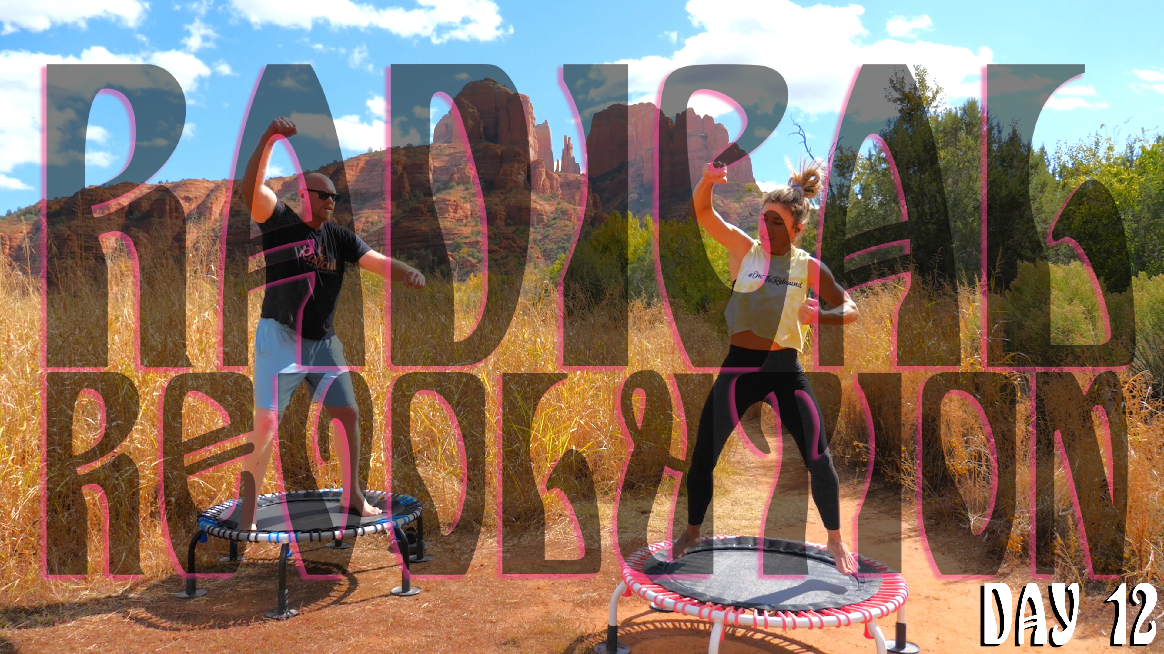 Day 12 - Radical Revolution