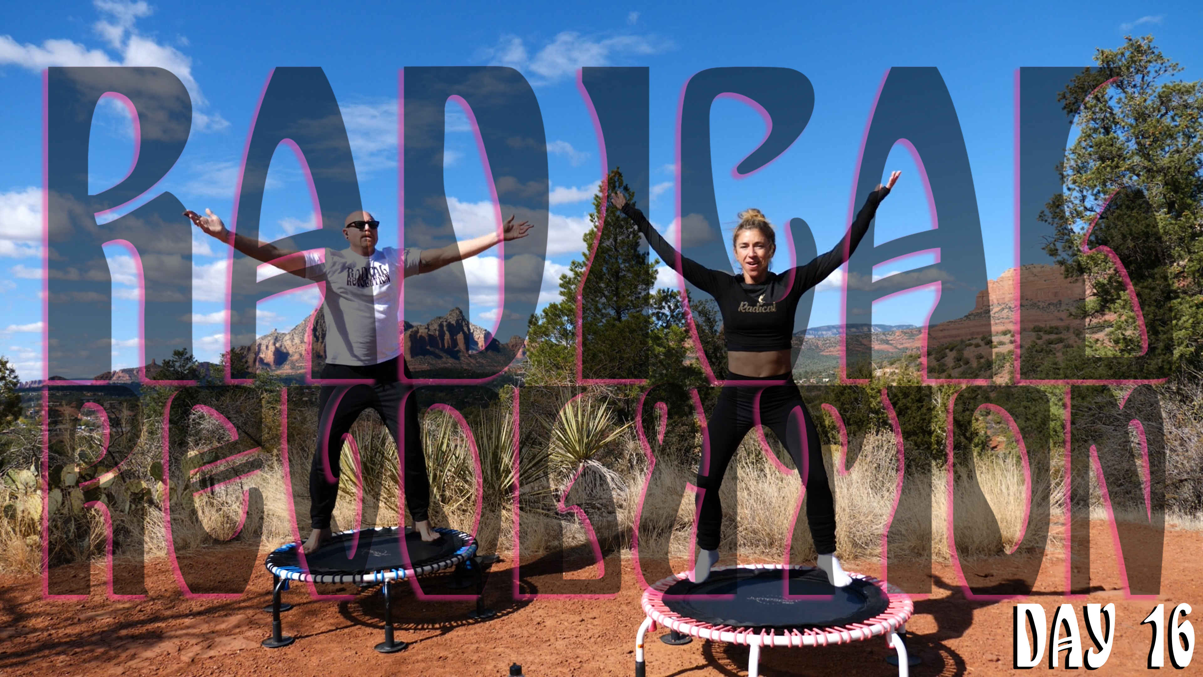 Day 16 - Radical Revolution