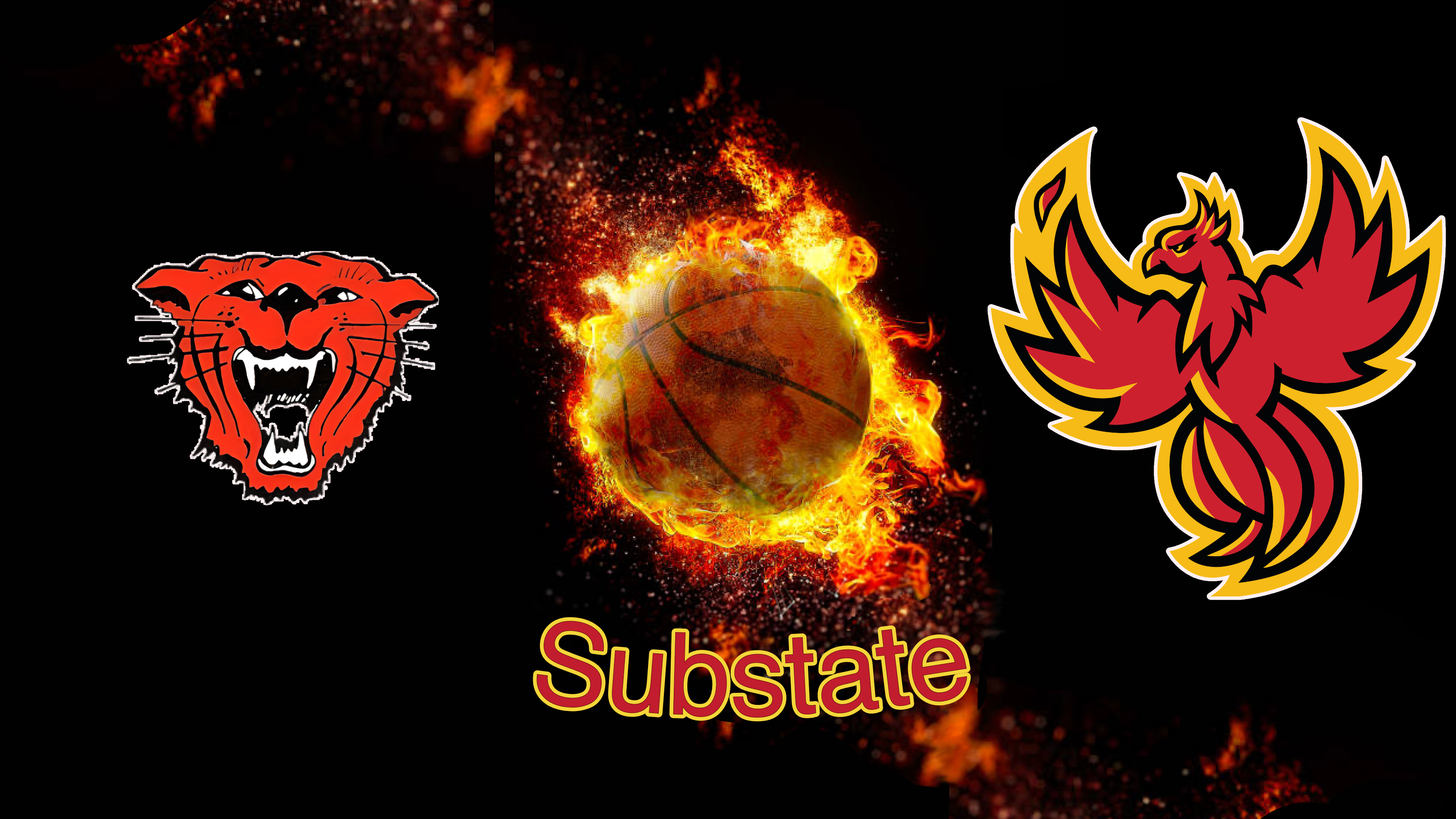 AHS Boys Substate Basketball 2/28