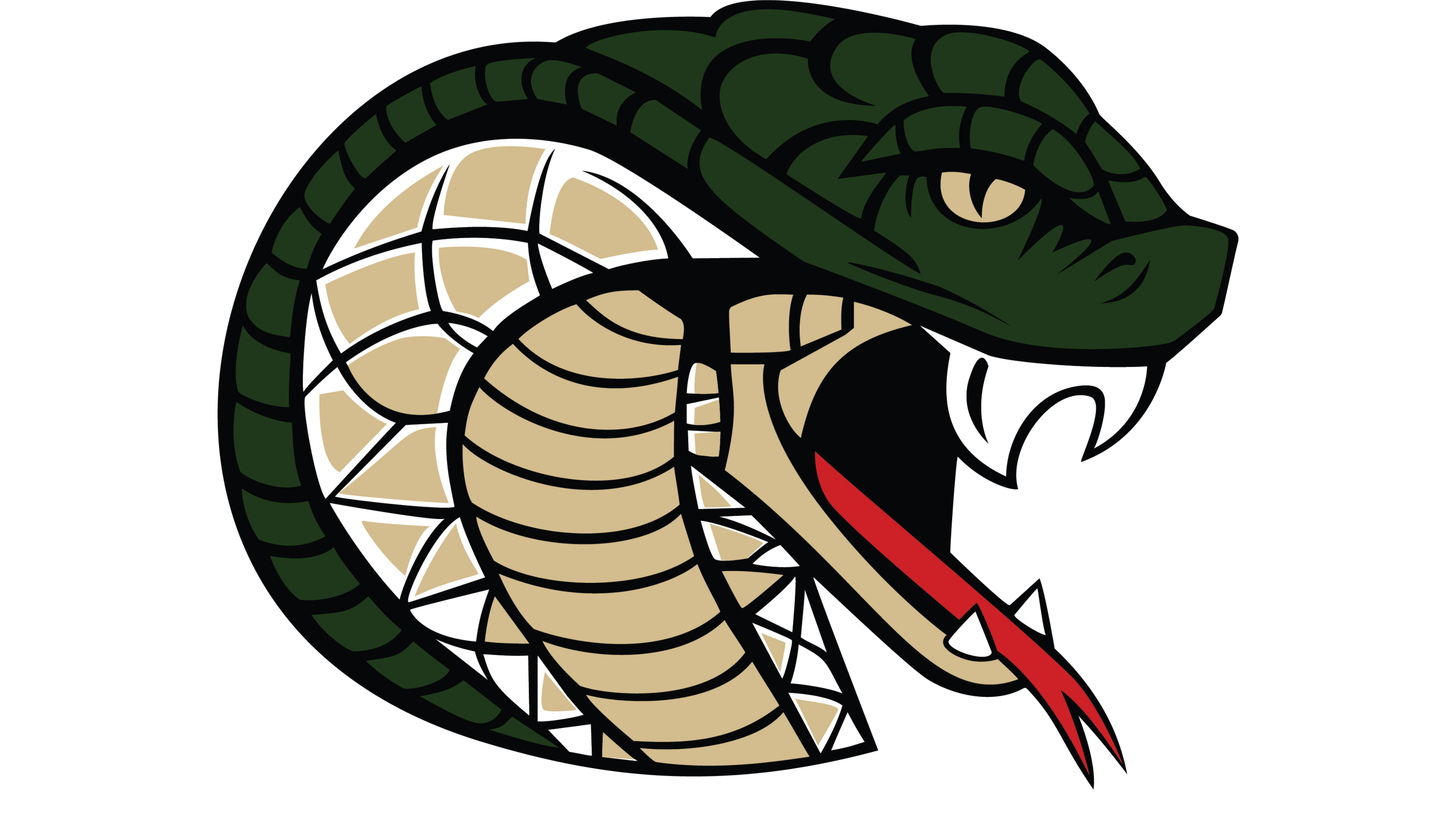 Jackson Heights Football vs Southeast Cherokee 10/31/25