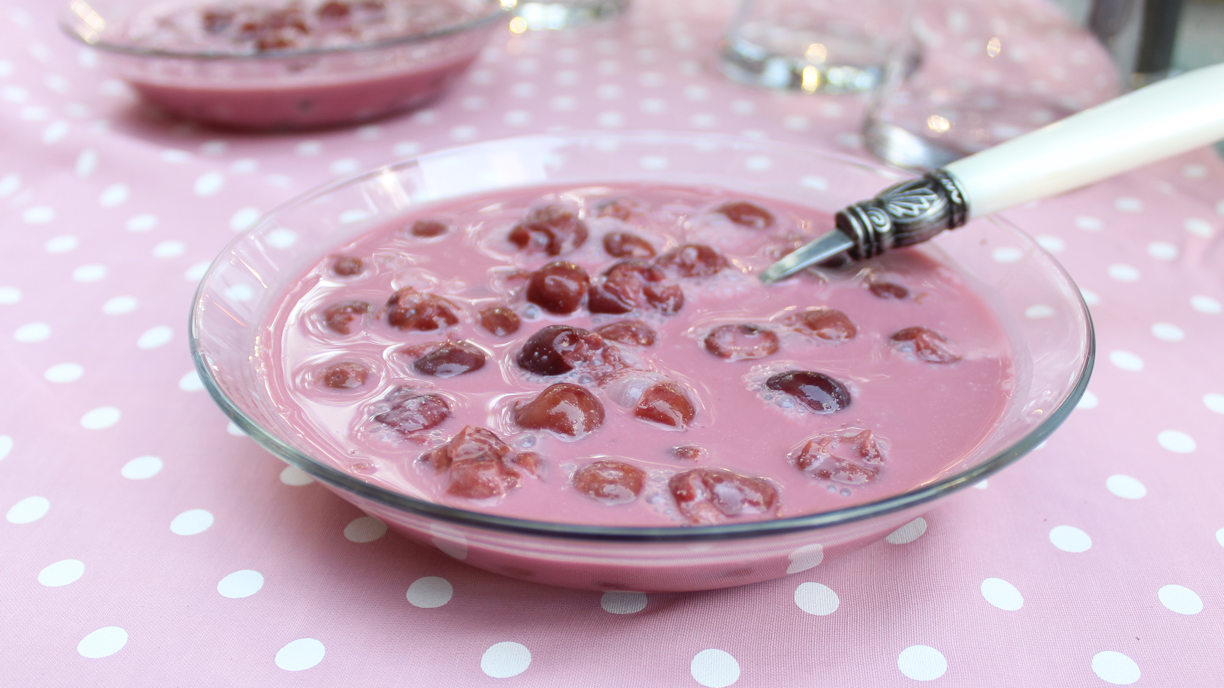 Hungarian Chilled Sour Cherry Soup 