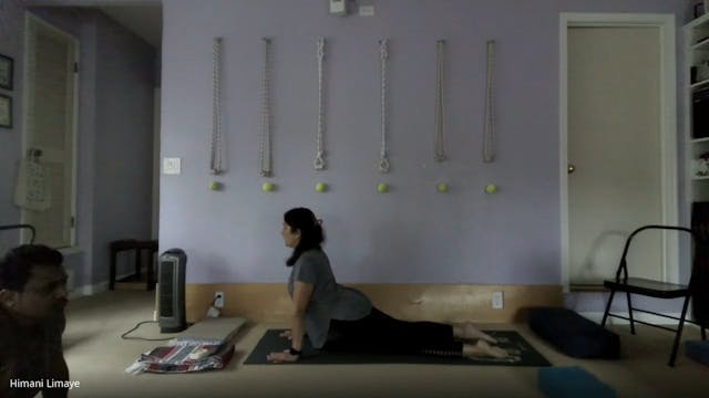 Suryanamaskar steps with variations