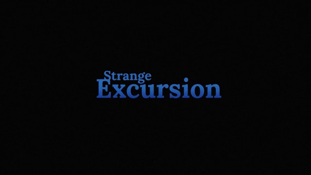 Strange Excursion (2023)
