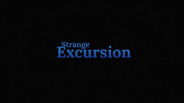 Strange Excursion (2023)