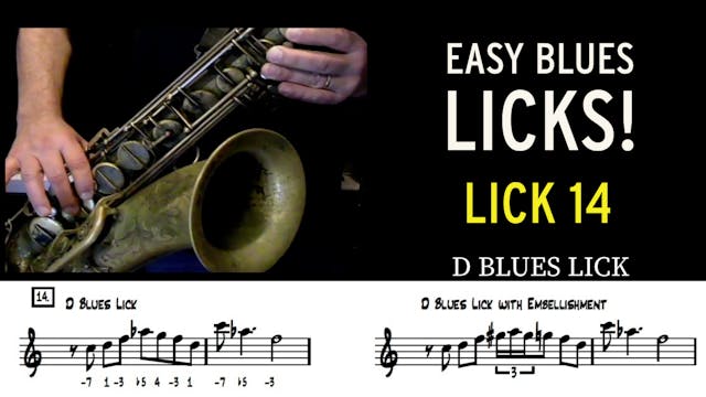 Easy Blues Lick #14 - D Blues Lick