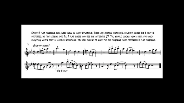 Lesson 8 Playing Exercise Demonstrations - Alto Sax