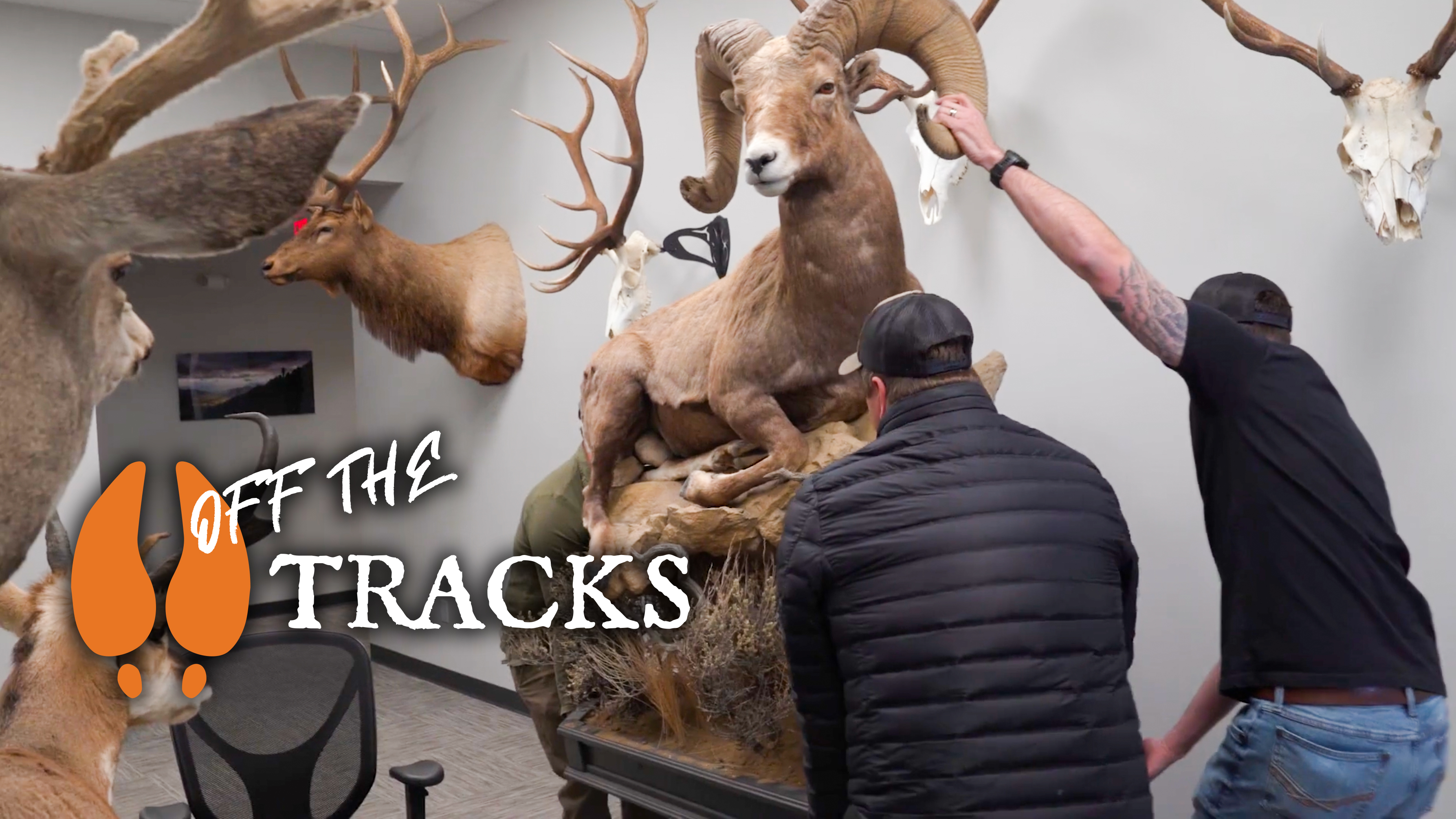 What Happens When Randy is Gone - OFF THE TRACKS 