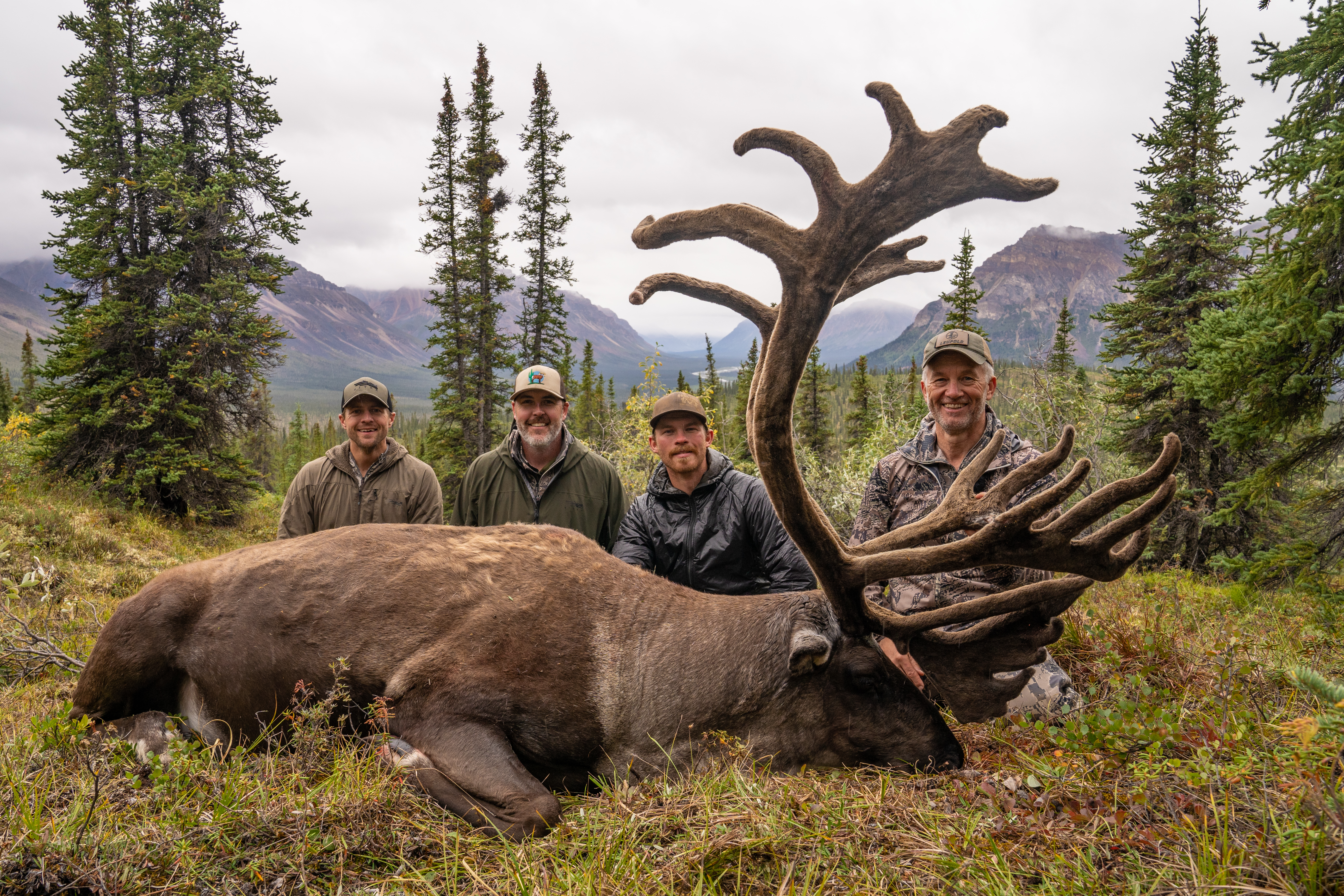 "Oofta! That'll do." | Northwest Territories Caribou