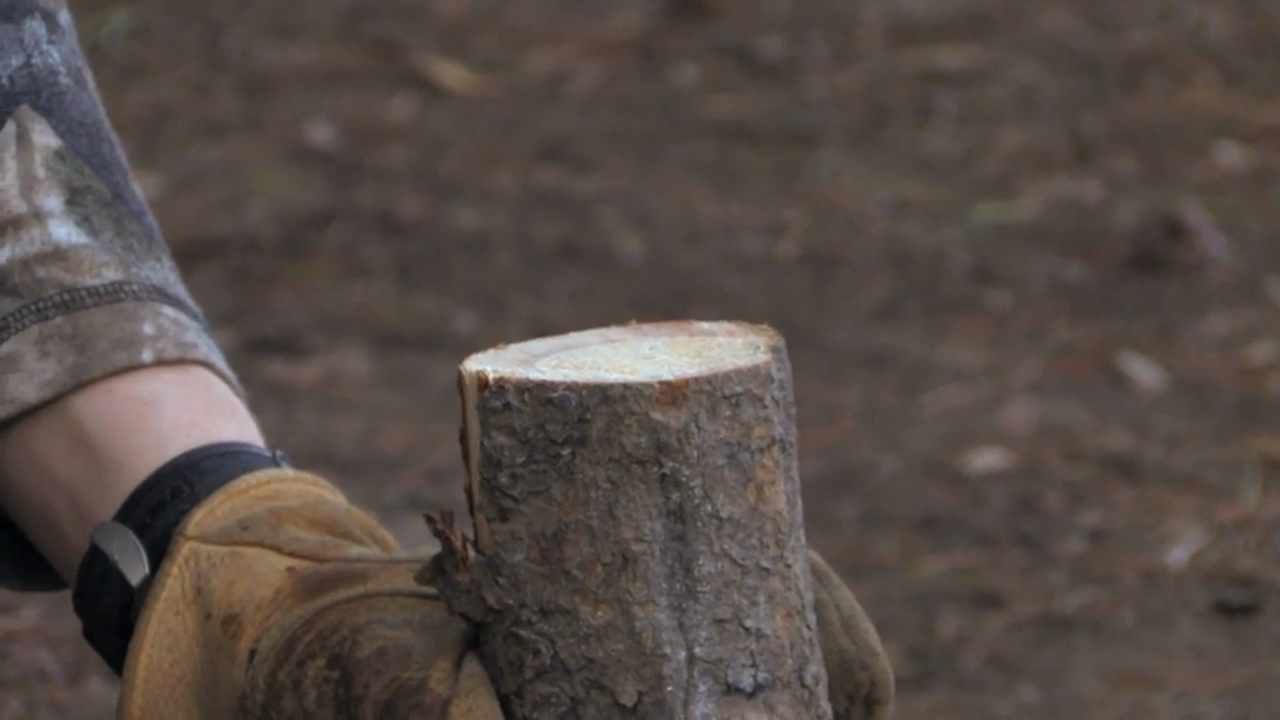 On Your Own Adventures: Season 1, Episode 6 - Montana Elk