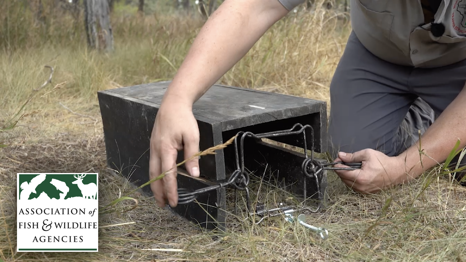 Common Land Sets with Body Grip Traps 