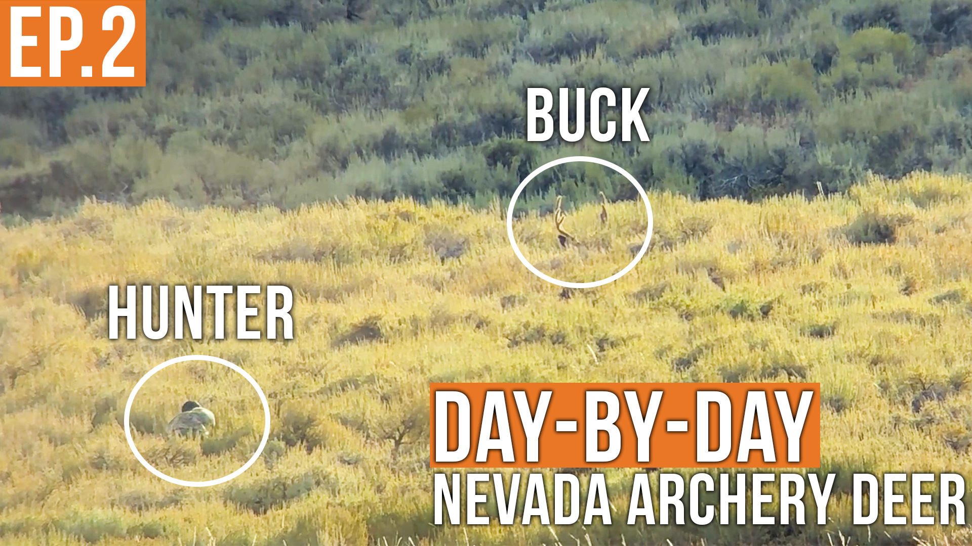 Another CLOSE Encounter | Nevada Archery Deer (EP.2)