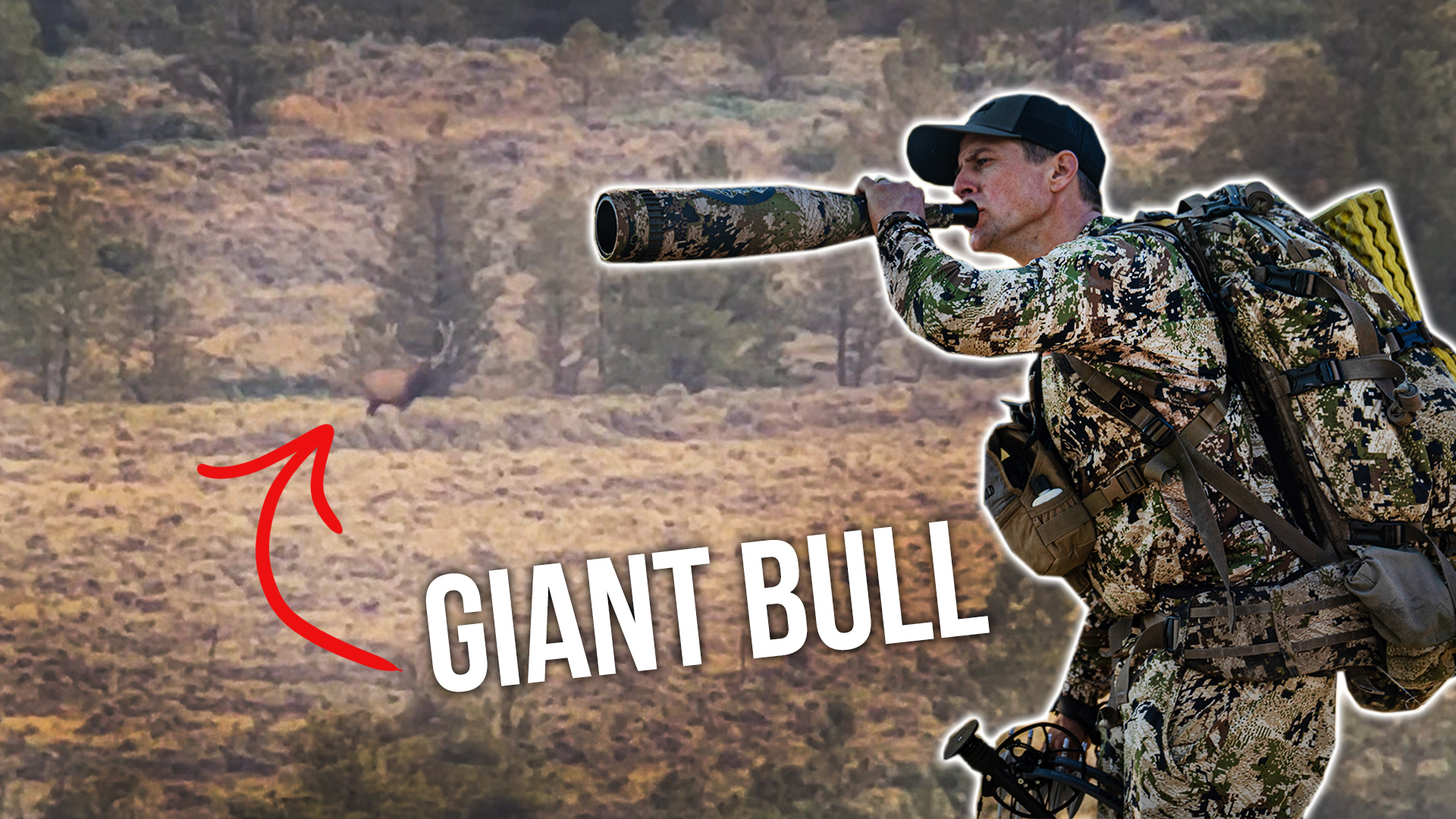 It Took 19 years to Draw This Tag! | MT Elk With Marcus and Kara (Ep.1 of 3) 